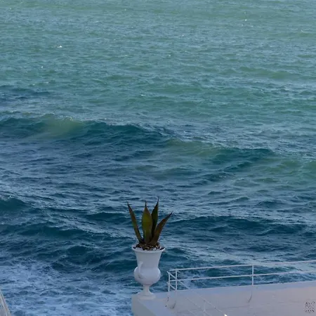 Casa Roberto * モノーポリ