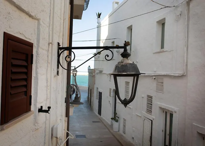 Casa Roberto Daire
